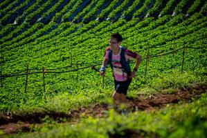 BIB: 
                            <button type="button" onclick="openModal(19160955)" class="btn btn-primary btn-sm float-right btn-popup" data-toggle="modal" data-target=".modal-high-quality">
                        <i class="fas fa-shopping-cart"></i> Add to Cart
                    </button>
                                            <button type="button" onclick="isThisMe(19160955, true)" class="btn btn-success btn-sm float-right btn-popup btn-isme hidden" data-toggle="tooltip" data-placement="bottom" title="นี่คือรูปของคุณใช่ไหม คลิกที่นี่เพื่อเอาเข้าอัลบั้ม">
                        <i class="fas fa-plus"></i> Add to album
                    </button>
                    <button type="button" onclick="isThisMe(19160955, false)" class="btn btn-warning btn-sm float-right btn-popup btn-isnotme hidden">
                        <i class="fas fa-ban"></i> Remove from album
                    </button>